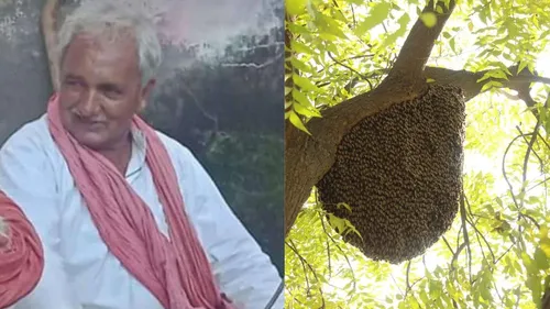 rajasthan bhilwara bee attack 