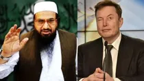 elon musk x verified policy led to hafiz saeed alleged son killed viral