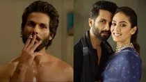 shahid kapoor kabir singh mira rajput