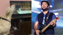 arijit singh songs dog singing