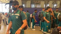 Pak players get surprise on plane to Ahmedabad during ODI World Cup