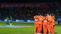 Netherlands beat SA by ... runs in ODI World Cup major upset