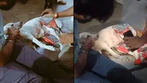 man raped female dog and threw it from third floor balcony arrested in greater noida