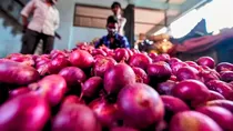 onion price hike.