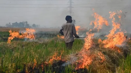 punjab record breaking stubble burning cases in a day air pollution delhi ncr aqi 