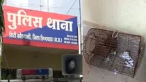 Rats drank 60-65 bottles of liquor kept in Police Station in Chhindwara, Madhya Pradesh. 