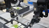 Robot Kills South Korean Worker