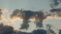 Pareidolia Example 