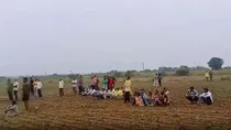 man died due to negligence open electric wire in farm owner hid body chandrapur maharashtra