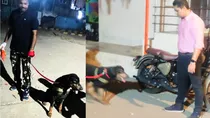 sniffer dog helps mumbai police missing 6 year old child found