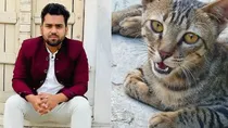 Kanpur dehat dog cat bit the father son died