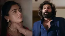 ranbir kapoor animal controversial scenes