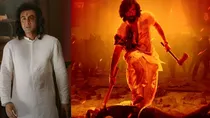 Animal box office collection 