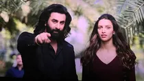 animal, tripti dimri, ranbir kapoor, 
