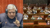 mps suspended from rajya sabha