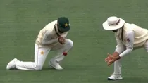 David Warner, Pak vs AUS, test match
