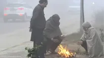 delhi ncr cold waves