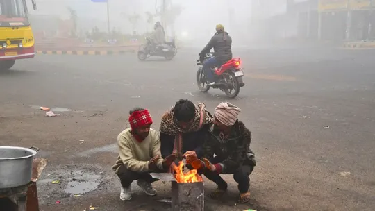 cold wave in north india