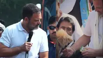 Rahul Gandhi feeding dog video