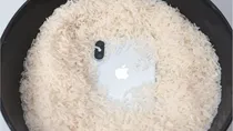apple samsung share what to do when your phone gets into water