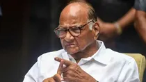 sharad pawar faction gets new party symbol tutari know all about the allotment process
