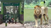 akbar sita lions name tripura government suspends official