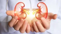 kidney 