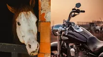 Horsepower is a term that signifies the peak power of a motorcycle’s engine. Peak power is produced when an engine is in its redline (peak engine speed or RPM)