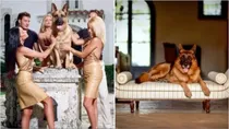 GUNTHER RICHEST DOG IN THE WORLD