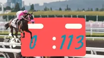 HARU URARA JAPANESE HORSE 