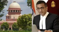  Madras high court judgment supreme court