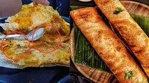 dosa in cockroach