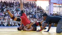 IOA dissolves wrestlings ad hoc committee reinstates WFI