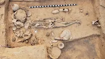 harappa rakhigarhi ncert changes