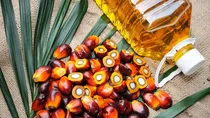 Disadvantages of adding palm oil to food