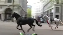 London horse