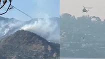 nainital forest fire