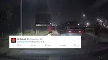viral video