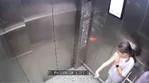 noida dog bite