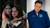 elon musk X 