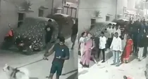 Hyderabad youngsters thrashed dog