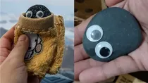 south korean adults dealing with loneliness by keeping stones as pets 