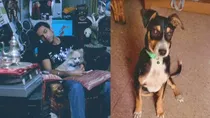 civil judge dog stolen in up