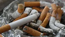 world no tobacco day rules and regulation on smoking in india