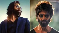 animal. kabir singh. 