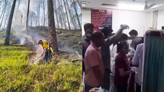 Almora, Uttarakhand | Four people who went to extinguish the fire in Binsar forest died