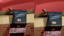 snake amazon viral video