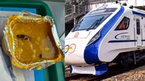 cockroach in vande bharat train food