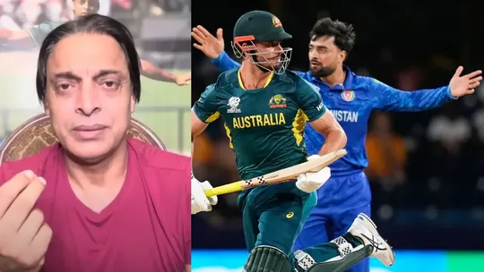 Shoaib Akhtar, Rashid, Stoinis