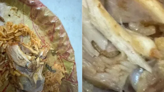 worms in chicken biryani